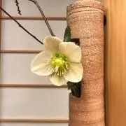 はりねずみ