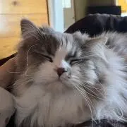 みらくる