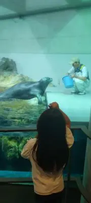 まーまの画像