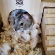 MARUの画像