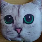 うたわかの画像