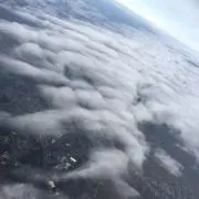 こんの画像