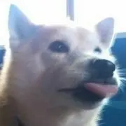 せふぁろすぽりん