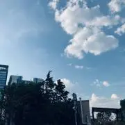 ssの画像