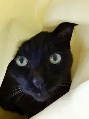だいすけ(プロフィール見て下さいね)の画像