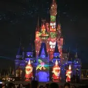 もも　週末購入は発送が週明けになりますの画像