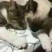 ♡ペペママ♡  宜しくお願いします☆の画像