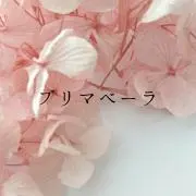 プリマベーラの画像