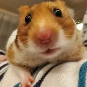 くまくま♡アロマと雑貨と断捨離との画像