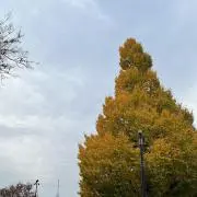 Eの画像