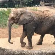 佐藤太郎