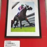 かぜまるの画像