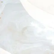 なぎの画像
