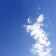 Snowの画像