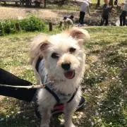 バル