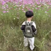 TRCKの画像