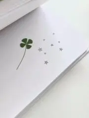 白湯の画像