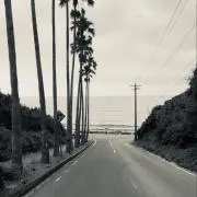 cocona2surf