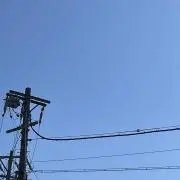 nao_の画像