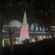 momoの画像