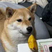 セナの画像