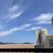XYZの画像