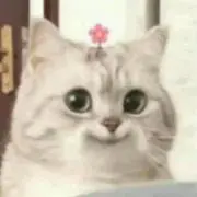 ぶーぶーの画像
