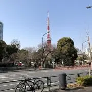 Saita