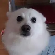 蘭ママ