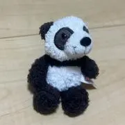 パンダ隊長の画像