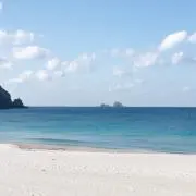 tomo