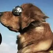ぶんなり