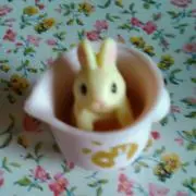 tukimi  rabbit
