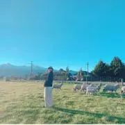 アニー