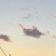 Srの画像