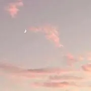 yzの画像