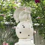 D !プロフ必読!