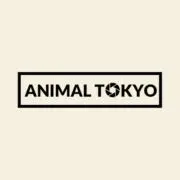 Studio Animalの画像