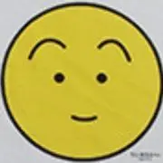 チョコ丸の画像