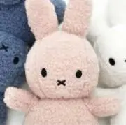 ひなのの画像