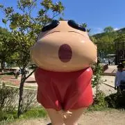 みの画像