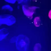 mの画像