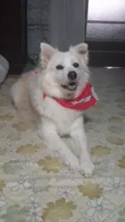 大赤見の画像