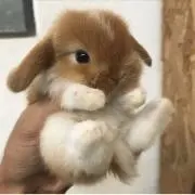 真壁