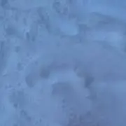 イトミミズ