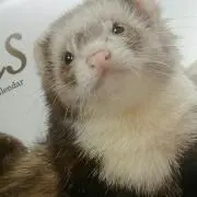 みん