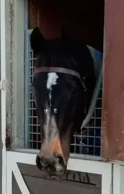 kitabimonの画像