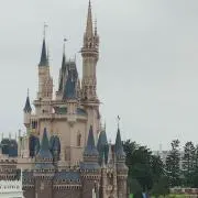 SBの画像