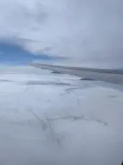 サープの画像