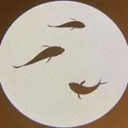 D.Oの画像